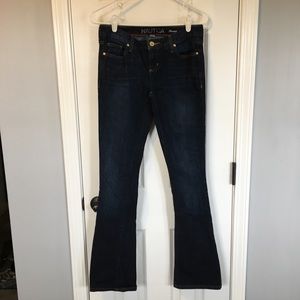 Dark Wash Nautica Bootcut Jeans